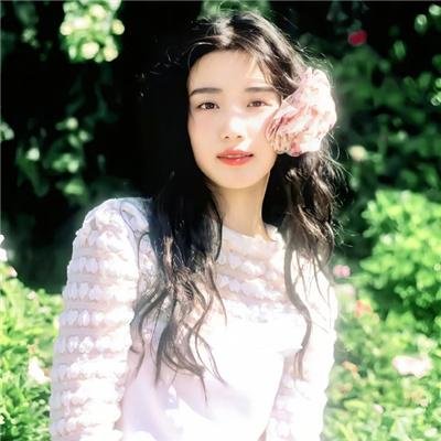 从前有个傻子特工